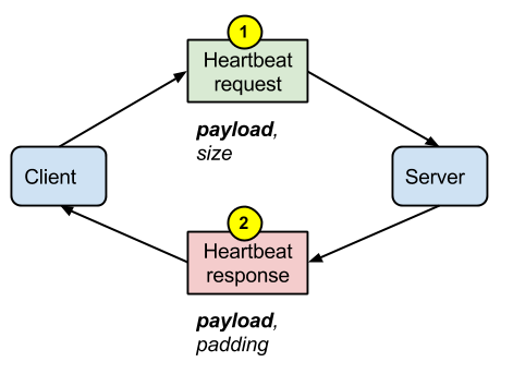 File:Heartbeat-normal.png