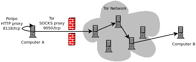 File:Tor-polipo-graph.png