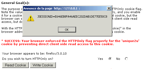 File:Httponlyon-ff-read-cookie.png