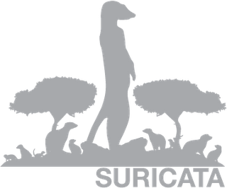 File:Suricata-logo.png