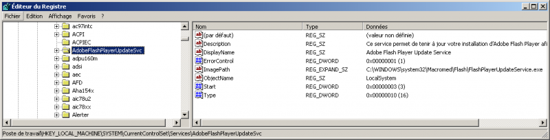 File:Registry-service-AdobeFlashPlayerUpdateSvc.png