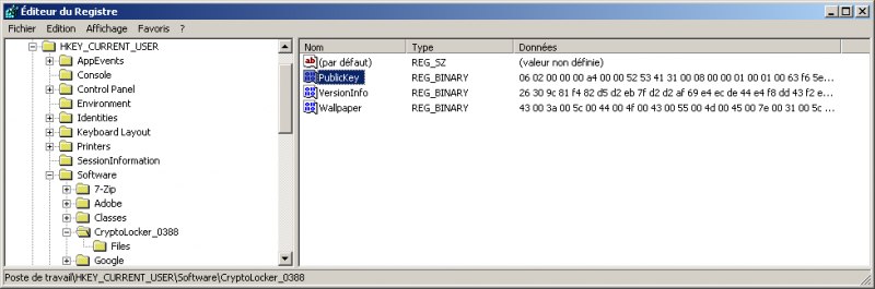 File:Cryptolocker-registry-publickey.png