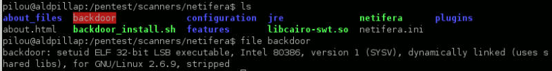 File:Netifera-backdoor-installation.png