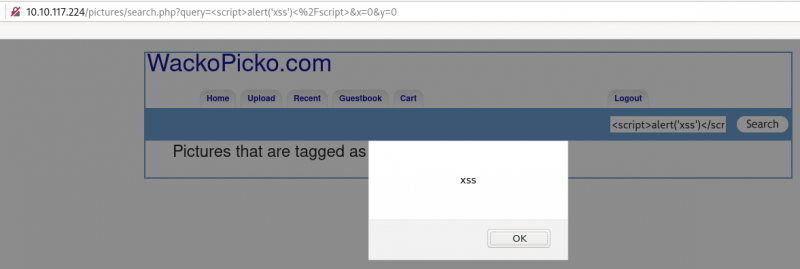 File:TryHackMe-WebAppSec-101-search-xss.png